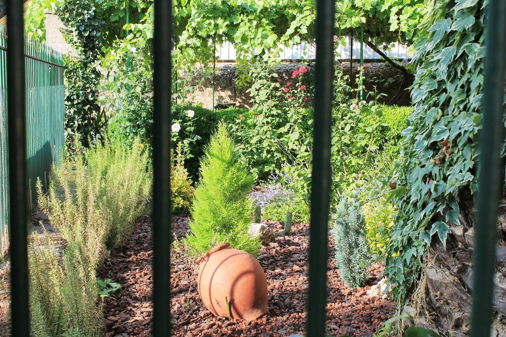 바뇨스 데 몬테마요르 Casa Jardin De La Plata 아파트 외부 사진