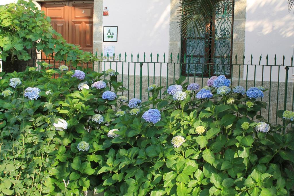 바뇨스 데 몬테마요르 Casa Jardin De La Plata 아파트 외부 사진